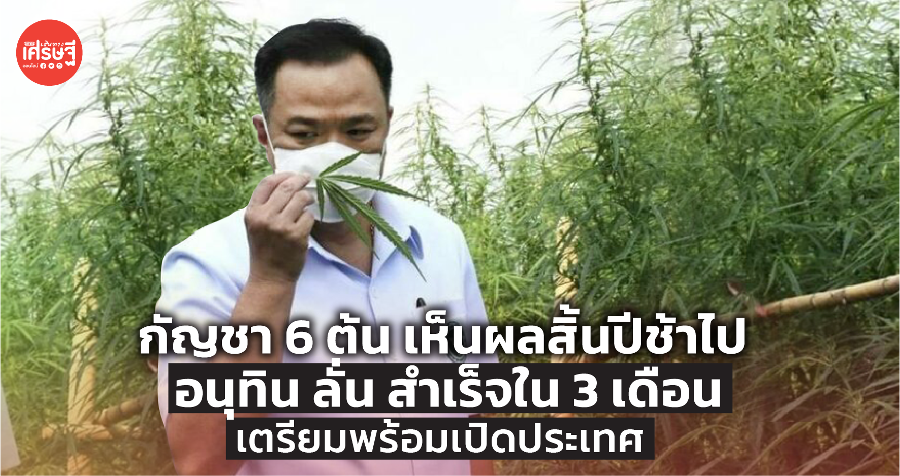 กัญชา 6 ต้น เห็นผลสิ้นปีช้าไป อนุทิน ลั่น สำเร็จใน 3 เดือน เตรียมพร้อมเปิดประเทศ