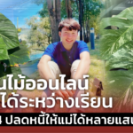 ขายต้นไม้ออนไลน์ หารายได้ระหว่างเรียน พ่อค้า ม.4 ปลดหนี้ให้แม่ได้หลายแสน