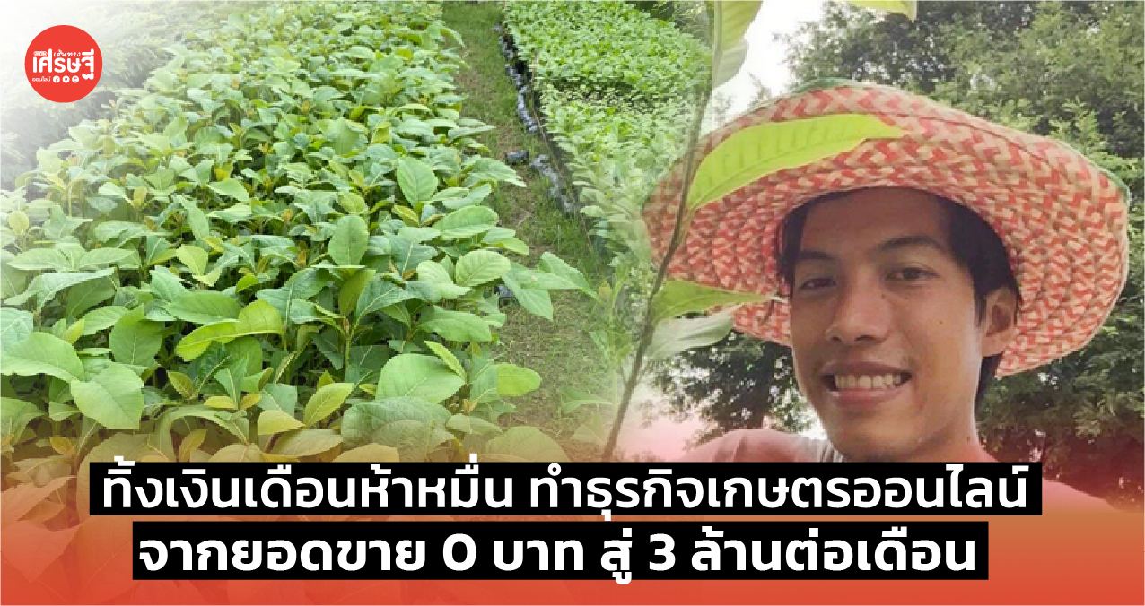 ทิ้งเงินเดือนห้าหมื่น ทำธุรกิจเกษตรออนไลน์ จากยอดขาย 0 บาท สู่ 3 ล้านต่อเดือน