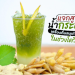 แจกสูตร น้ำกระชายสด เครื่องดื่มสมุนไพรไว้ดูแลตัวเอง ในช่วงโควิดระบาด