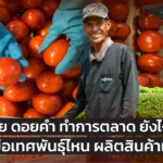 ดอยคำ ทำการตลาด ยังไง ใช้มะเขือเทศพันธุ์ไหน ผลิตสินค้าเรือธง 