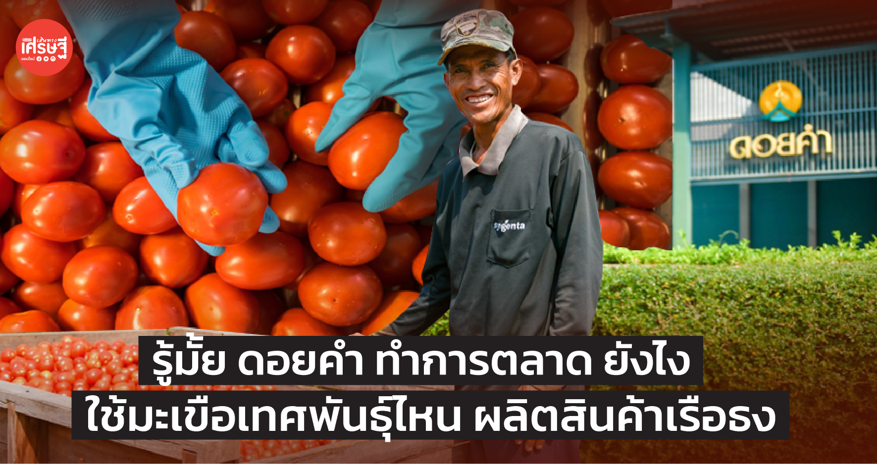 ดอยคำ ทำการตลาด ยังไง ใช้มะเขือเทศพันธุ์ไหน ผลิตสินค้าเรือธง 