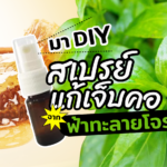 เปิดวิธี DIY ฟ้าทะลายโจร ให้เป็น สเปรย์แก้เจ็บคอ
