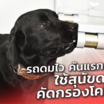 รถดมไว คันแรกของไทย ใช้สุนัขดมกลิ่น คัดกรองโควิด-19