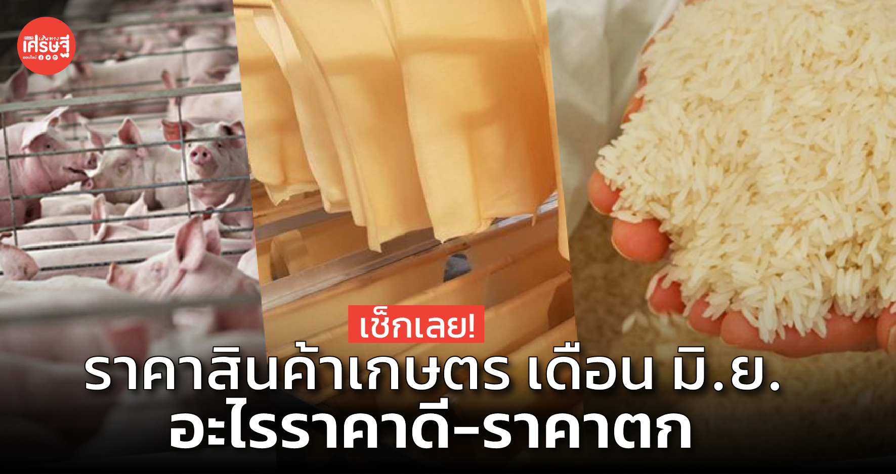 ราคาสินค้าเกษตร เดือน มิ.ย. อะไรราคาดี-ราคาตก 
