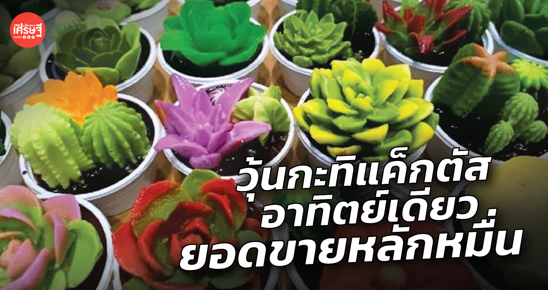 วุ้นกะทิแค็กตัส อาทิตย์เดียว ยอดขายหลักหมื่น