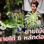 สจ๊วตการบินไทย ขายไม้ด่าง รายได้ 6 หลัก/เดือน บอกวงการนี้เหมือนเทรดหุ้น 