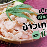 เปิดสูตร เพิ่มมูลค่าให้ ข้าวเกรียบ ด้วย กัญชา