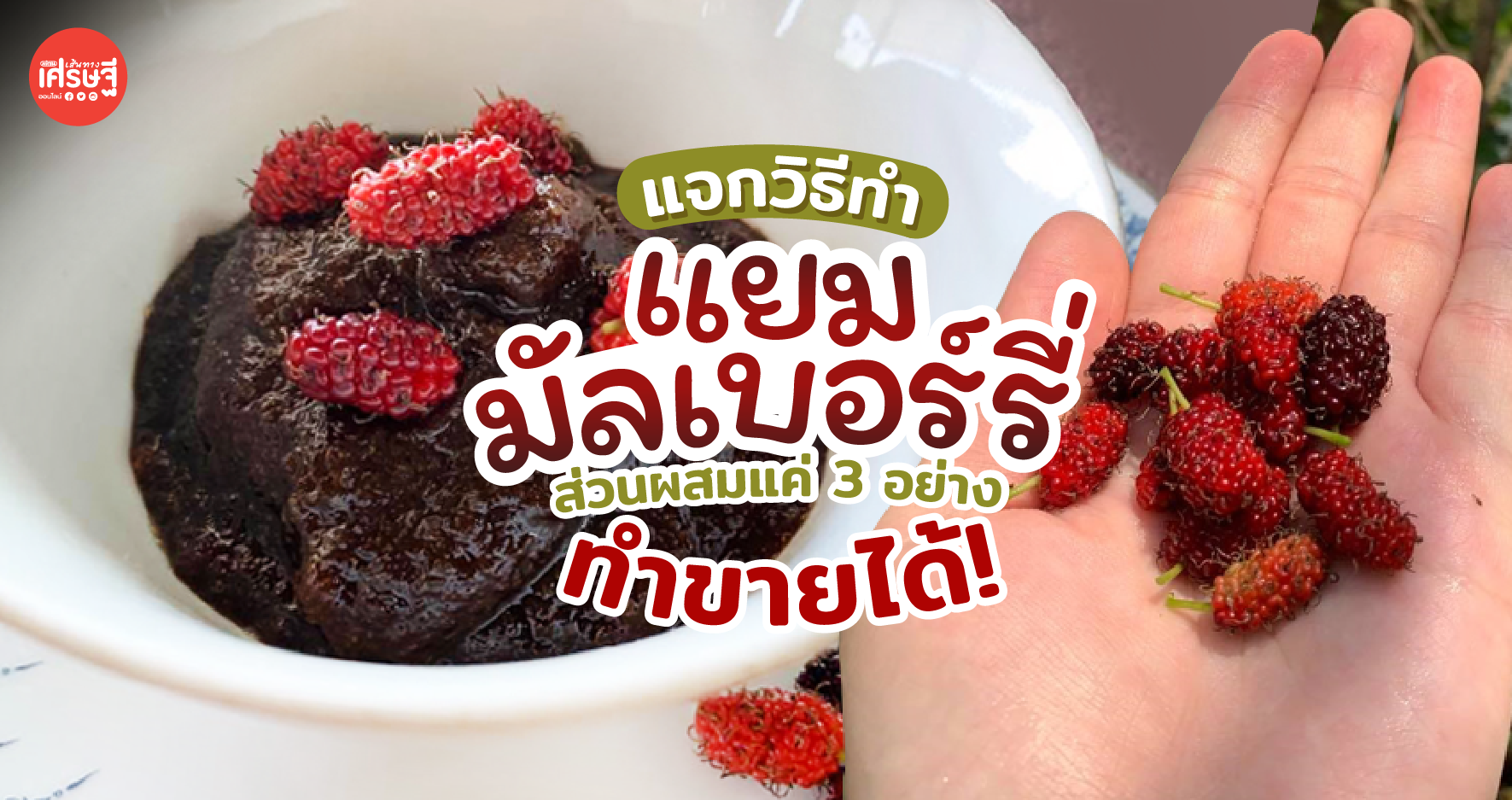 เปิดสูตร แยมมัลเบอร์รี่ (ลูกหม่อน) ใช้ส่วนผสม 3 อย่าง ก็ทำขายได้!