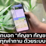 แชทบอท "กัญชา กัญชง" ตอบทุกคำถาม ด้วยระบบเอไอ