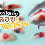แชร์ไอเดีย ทำขนมหวานไทย บัวลอยปลาคาร์พ เหมือนจนคนตกใจ 