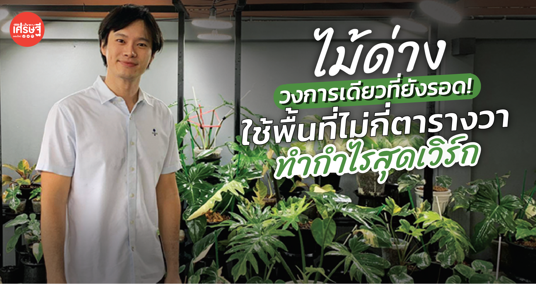 ไม้ด่าง วงการเดียวที่ยังรอด ใช้พื้นที่ไม่กี่ตารางวา ทำกำไรสุดเวิร์ก