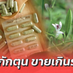 อภัยภูเบศร อัพเดต การผลิตยาฟ้าทะลายโจร วอน อย่ากักตุน ขายเกินราคา