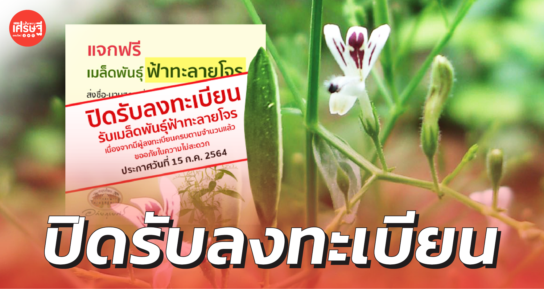 อภัยภูเบศร ปิดรับลงทะเบียน แจกฟรีเมล็ดพันธุ์ ฟ้าทะลายโจร
