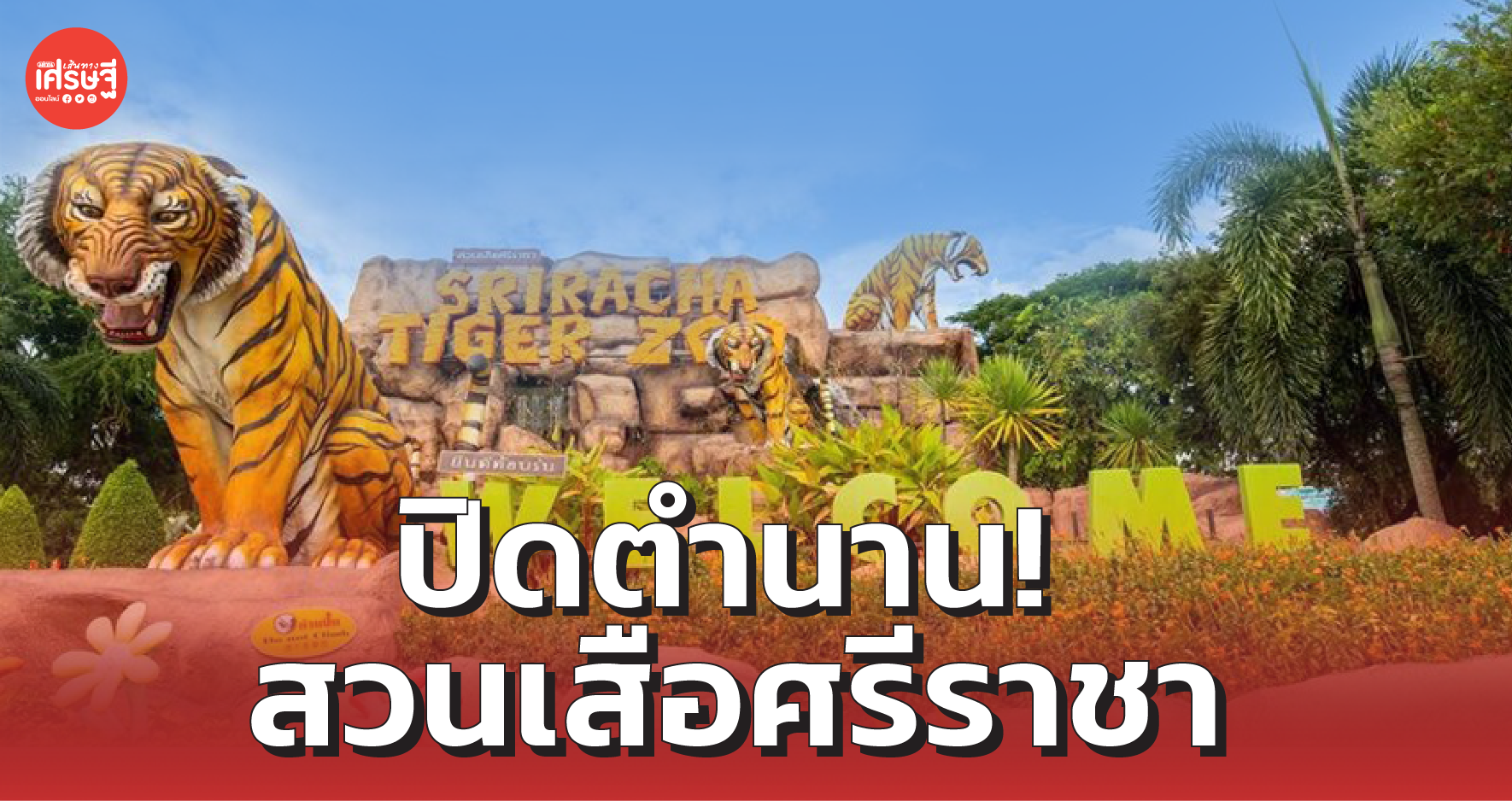 ปิดตำนาน! สวนเสือศรีราชา ประกาศเลิกกิจการ เตรียมย้ายสัตว์ 5,000 ชีวิต 