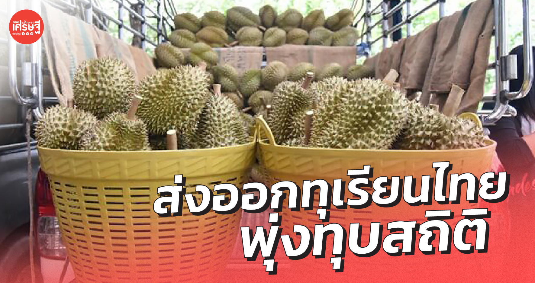 ส่งออกทุเรียนไทย เดือน พ.ค. 64 พุ่งทุบสถิติ ตลาดจีนยังคงมาแรง