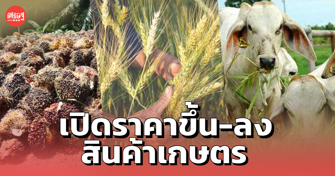 เปิดราคาขึ้น-ลง สินค้าเกษตร เดือน ก.ค. 64