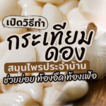 เปิดวิธีทำ กระเทียมดอง 6 ขั้นตอนง่ายๆ ทิ้งไว้ 1 เดือน จะหวานพอดี