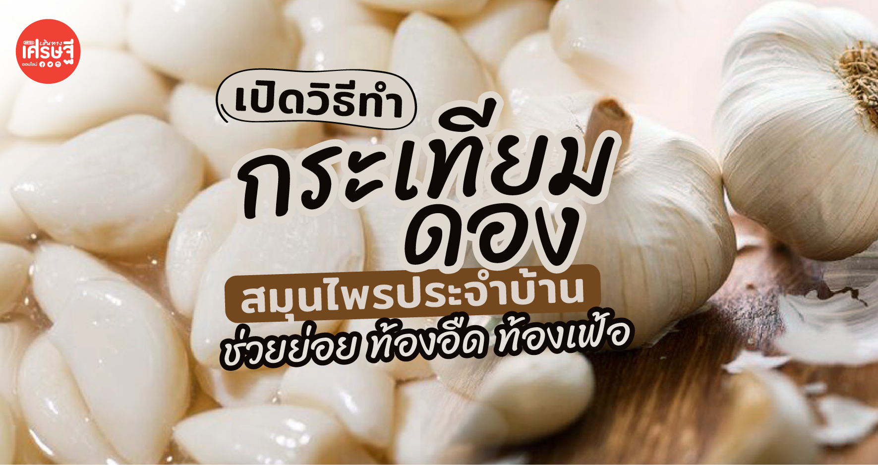 เปิดวิธีทำ กระเทียมดอง 6 ขั้นตอนง่ายๆ ทิ้งไว้ 1 เดือน จะหวานพอดี