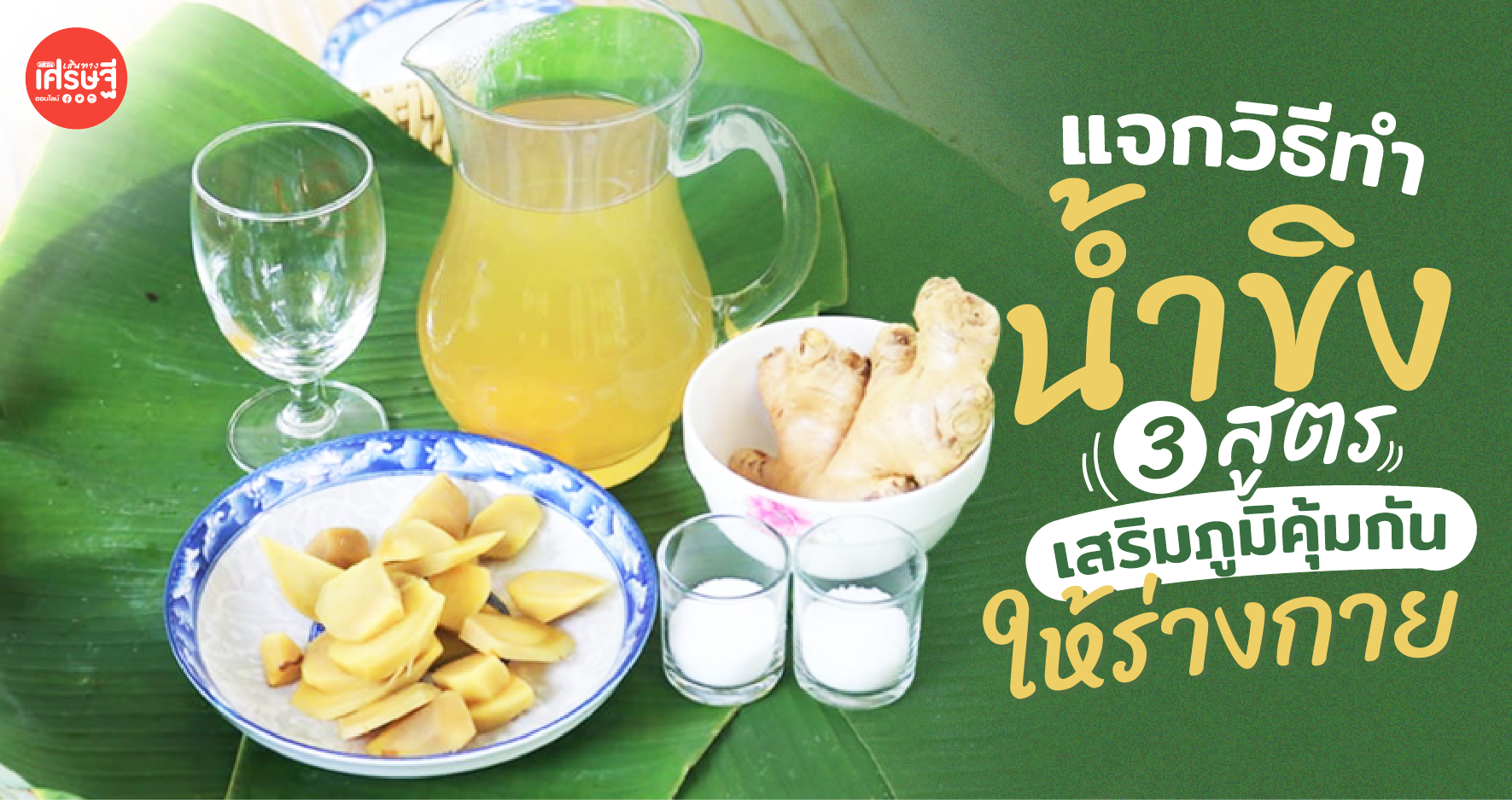 แจกวิธีทำ น้ำขิง สามสูตร สมุนไพรมีคุณค่า ช่วยเสริมภูมิคุ้มกันให้ร่างกาย
