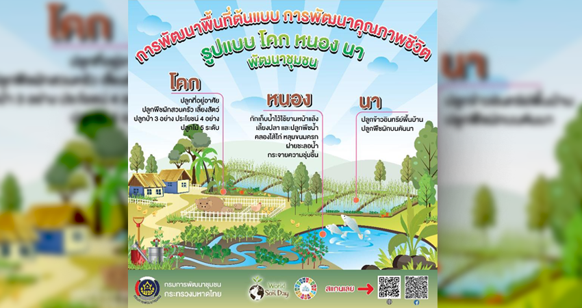 การพัฒนาพื้นที่ต้นแบบ ในรูปแบบ โคก หนอง นา