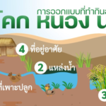 มีพื้นที่ มีที่ดิน สามารถออกแบบที่ทำกินแบบ “โคก หนอง นา”
