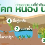 การออกแบบที่ทำกิน ฉบับ โคก หนอง นา