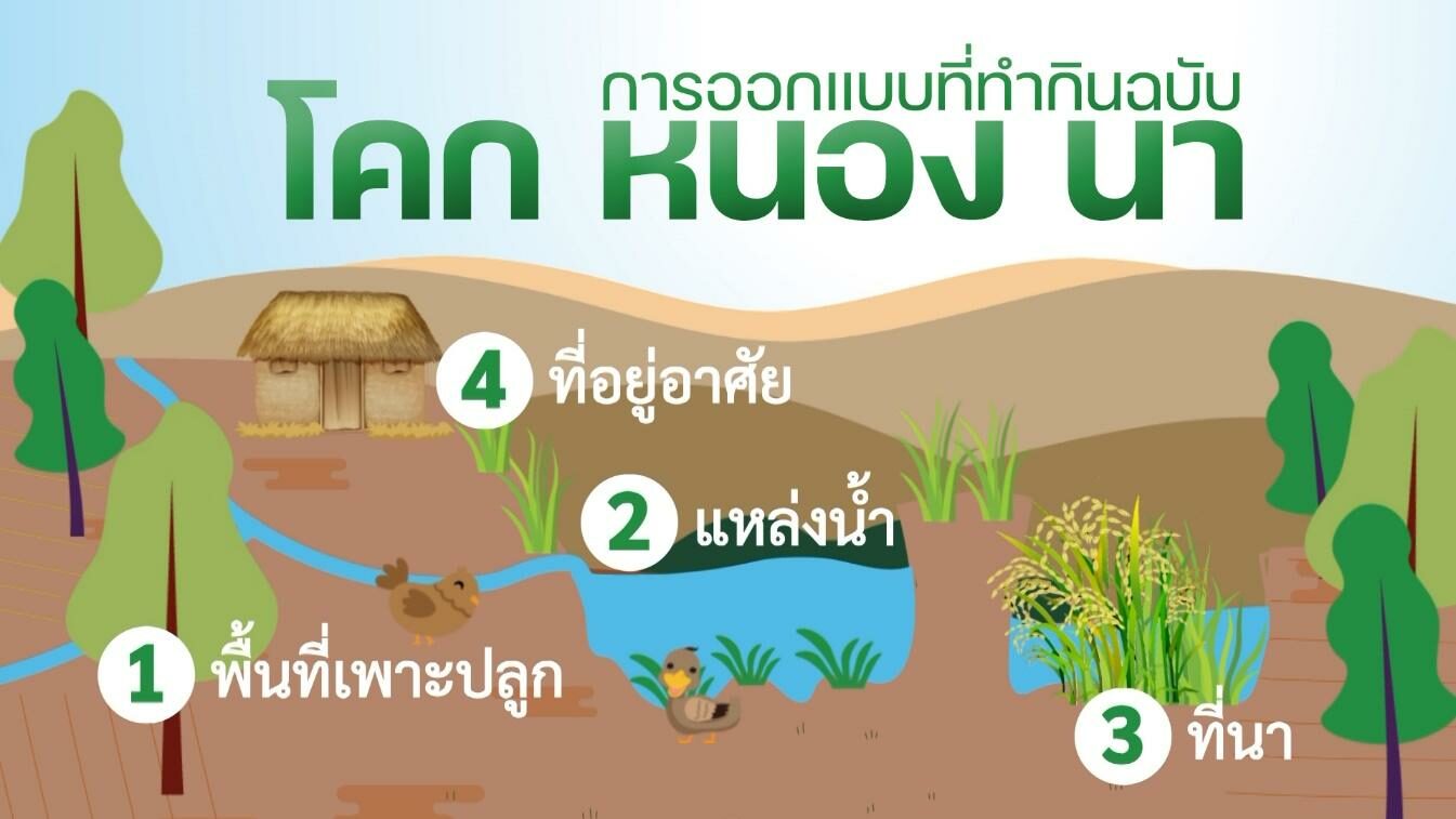 การออกแบบที่ทำกิน ฉบับ โคก หนอง นา
