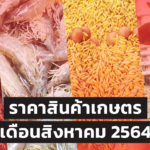 ศูนย์วิจัย ธ.ก.ส. คาดการณ์ราคาสินค้าเกษตร เดือนสิงหาคม 2564