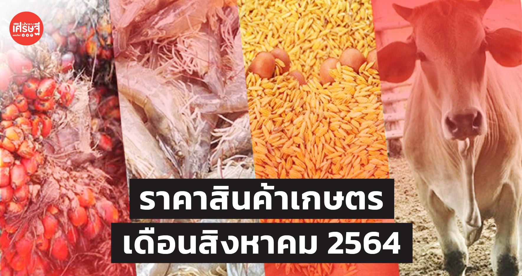 ศูนย์วิจัย ธ.ก.ส. คาดการณ์ราคาสินค้าเกษตร เดือนสิงหาคม 2564