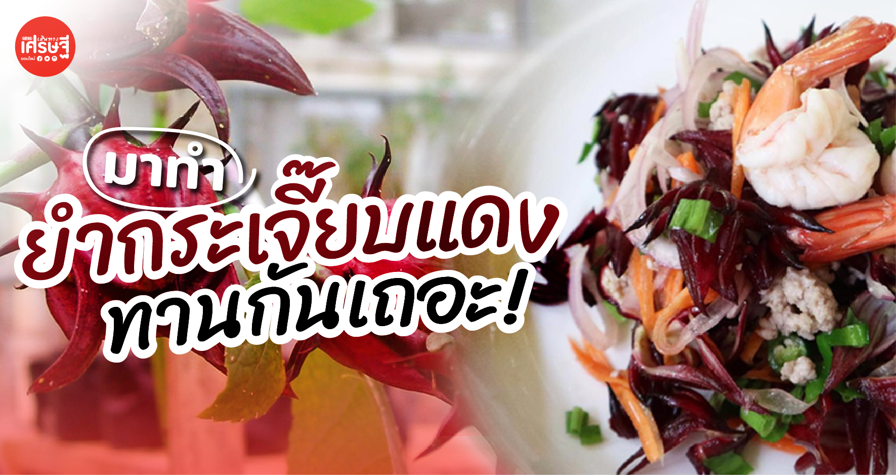 เปิดสูตร ยำกระเจี๊ยบแดง เมนูลดความดัน-ไขมัน บำรุงโลหิต สร้างความแข็งแรงให้หลอดเลือด