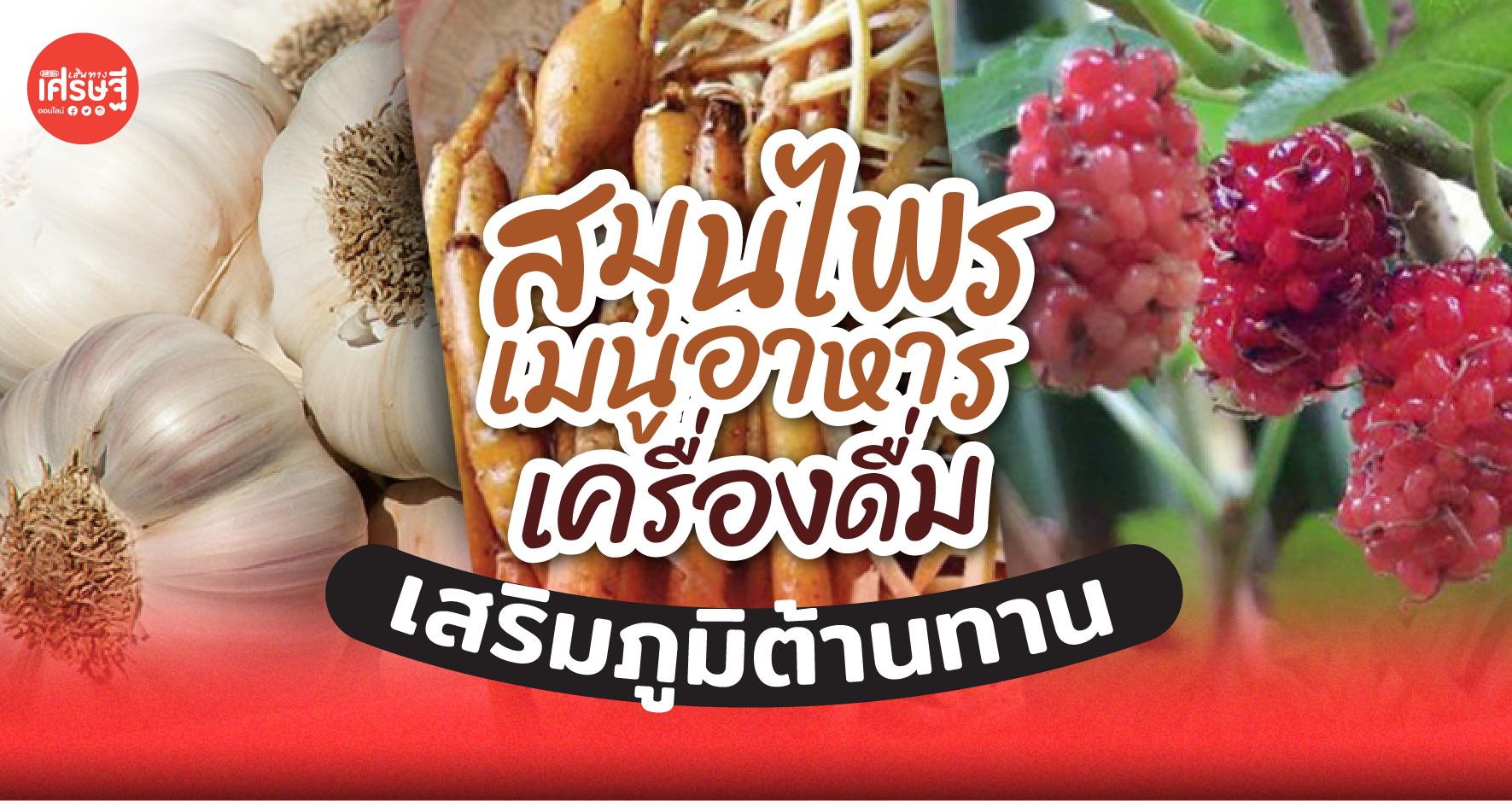 แพทย์แผนไทยฯ แนะ สมุนไพร เมนูอาหาร เครื่องดื่ม เสริมภูมิต้านทาน