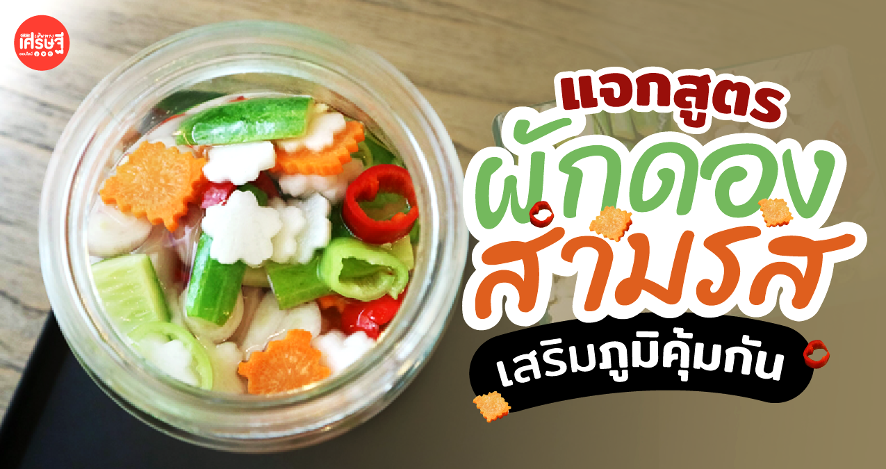 แจกสูตร ผักดองสามรส เพิ่มโปรไบโอติกส์ เสริมภูมิคุ้มกัน