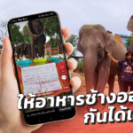 งานหดหาย! ควาญช้าง ผุด ให้อาหารช้างออนไลน์ หาเงินพาครอบครัว-ช้างกลับบ้านเกิด