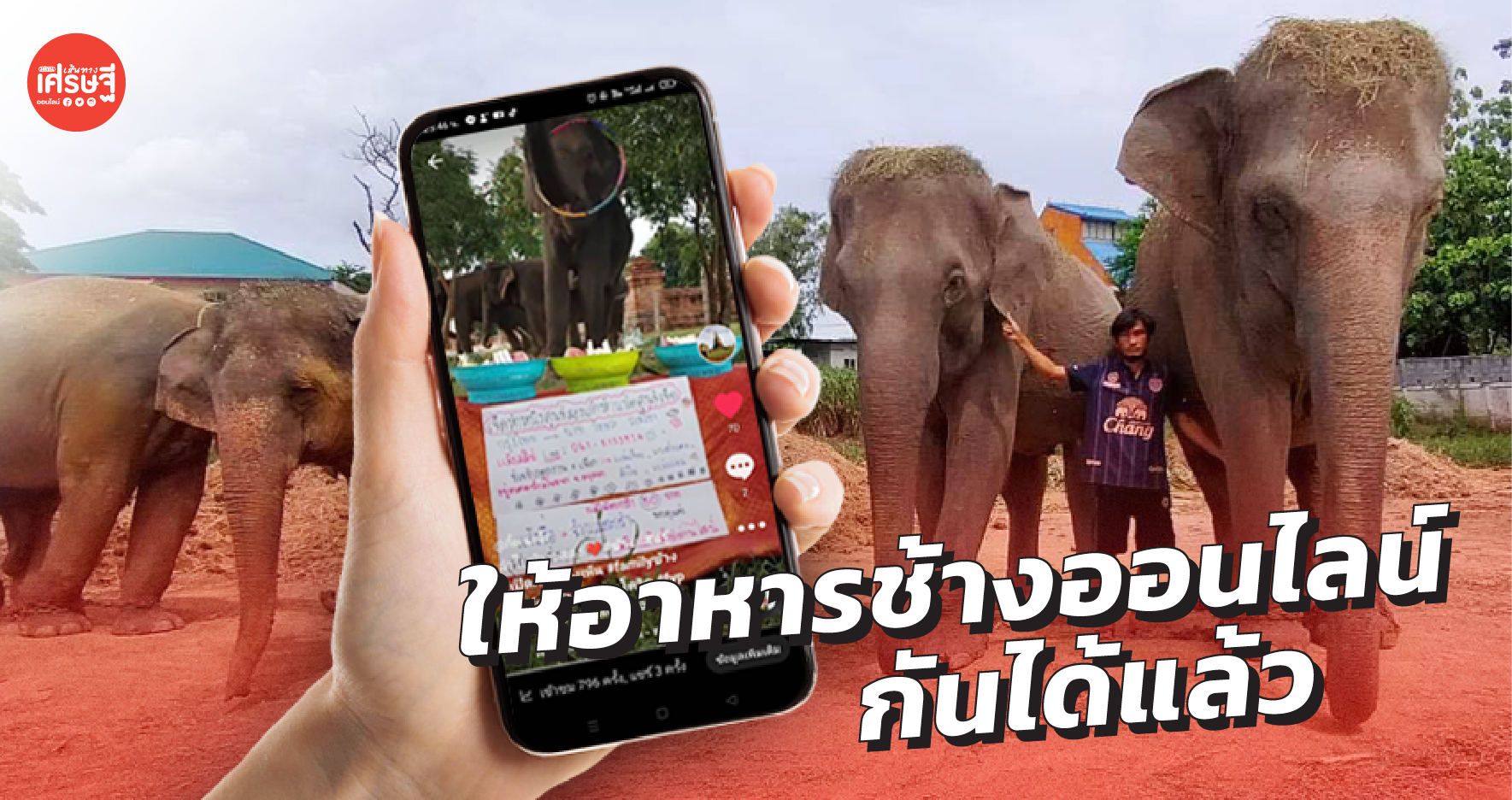 งานหดหาย! ควาญช้าง ผุด ให้อาหารช้างออนไลน์ หาเงินพาครอบครัว-ช้างกลับบ้านเกิด