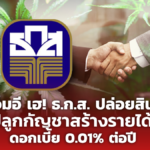 เอสเอ็มอี เฮ! ธ.ก.ส. ปล่อยสินเชื่อ ปลูกกัญชาสร้างรายได้ ดอกเบี้ย 0.01% ต่อปี