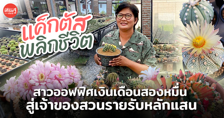 แค็กตัส พลิกชีวิต สาวออฟฟิศเงินเดือนสองหมื่น สู่เจ้าของสวนรายรับหลักแสน