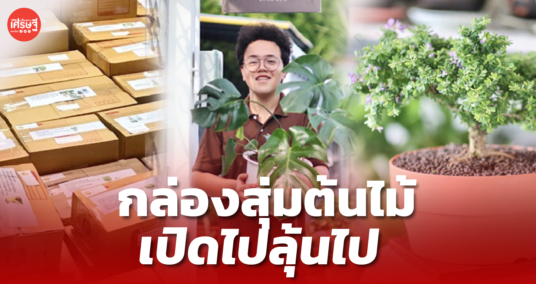 "กล่องสุ่มต้นไม้" ไอเดียค้าขายสุดแหวก เปิดรับออร์เดอร์เมื่อไหร่ ลูกค้าสั่งไม่ขาด