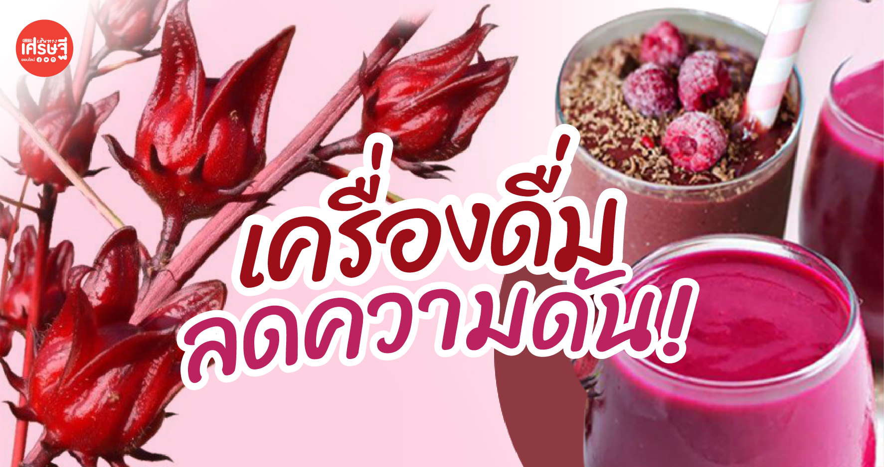 มาทำเครื่องดื่มลดความดันโลหิต ด้วย เรดเวลเวทสมูทตี้ จาก อภัยภูเบศร กันเถอะ