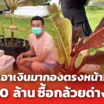 ใจถึง! เสี่ยระยองควัก 10 ล้านซื้อ กล้วยด่างอินโด เชื่อซื้อไว้ทำกำไรได้อีกเยอะ 