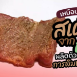 สตาร์ตอัพสเปนเจ๋ง ผลิตสเต๊กจากพืช ด้วยการพิมพ์ 3 มิติ อร่อยไม่แพ้เนื้อสัตว์