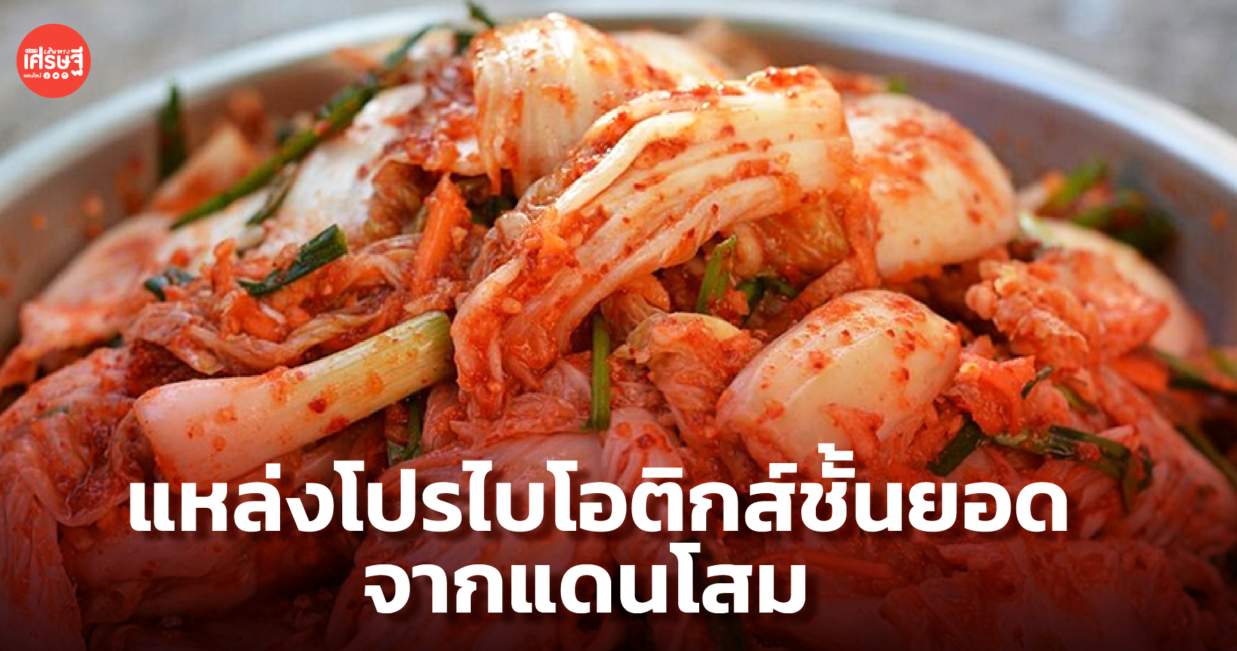 กิมจิ สูตรหมอประพจน์ แหล่งโปรไบโอติกส์ ชั้นยอดจากแดนโสม