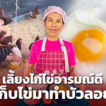 เลี้ยงไก่ไข่อารมณ์ดี