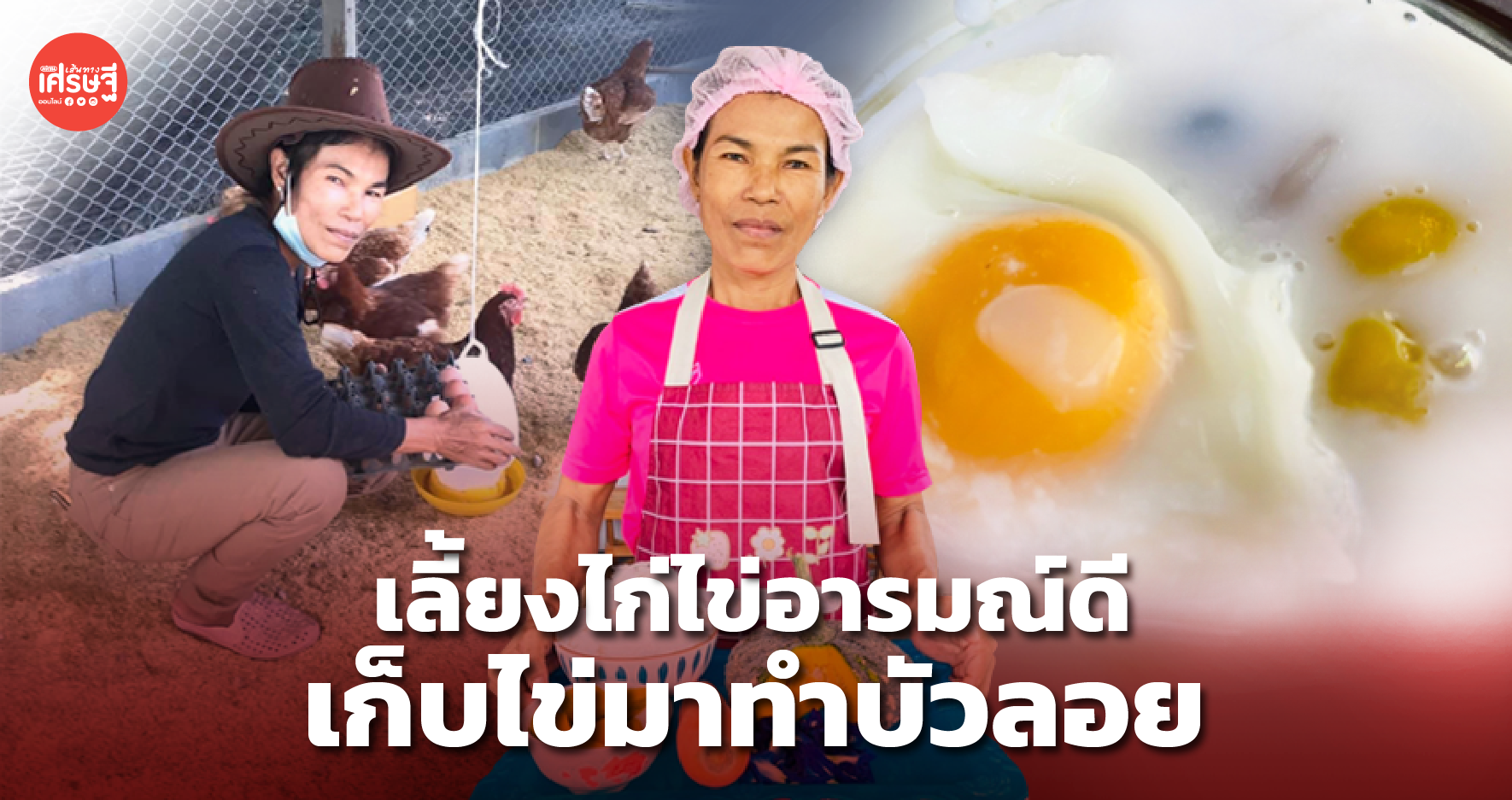 เลี้ยงไก่ไข่อารมณ์ดี