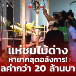 “เกษตรมหัศจรรย์ วันเส้นทางเศรษฐี” วันแรกคึกคัก! แห่ชมไม้ด่างหายากสุดอลังการ! มูลค่ากว่า 20 ล้านบาท