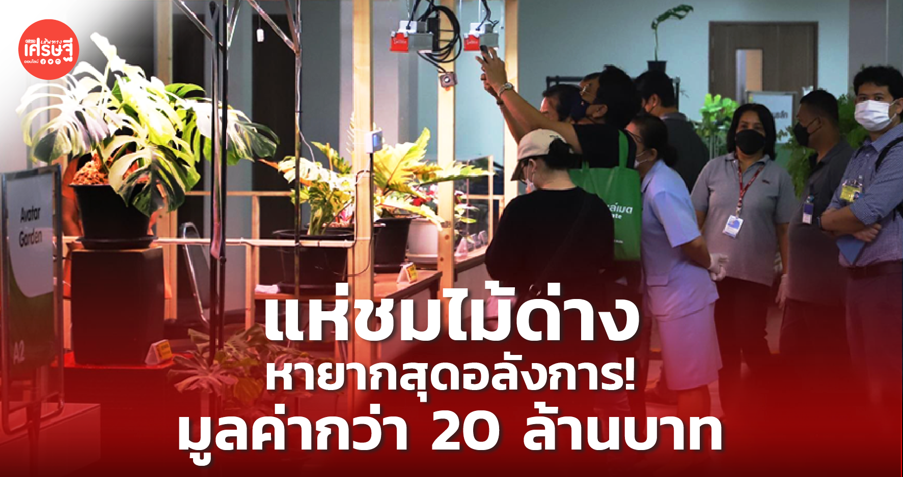 “เกษตรมหัศจรรย์ วันเส้นทางเศรษฐี” วันแรกคึกคัก! แห่ชมไม้ด่างหายากสุดอลังการ! มูลค่ากว่า 20 ล้านบาท