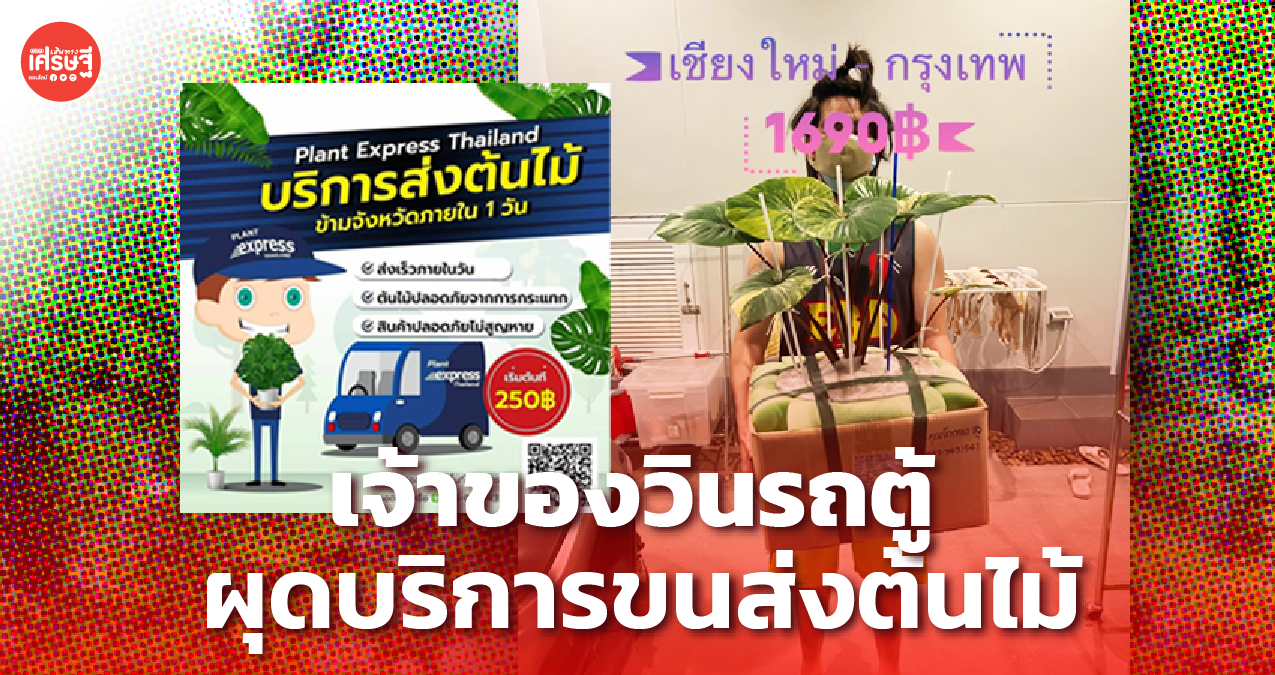 รับเทรนด์ผู้บริโภค เจ้าของวินรถตู้ ผุดบริการขนส่งต้นไม้ ส่งถึงมือเจ้าของใหม่