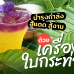 สู้แดด สู้งาน พร้อมบำรุงกำลัง แก้อ่อนเพลีย ด้วยสูตร เครื่องดื่มใบกระท่อม