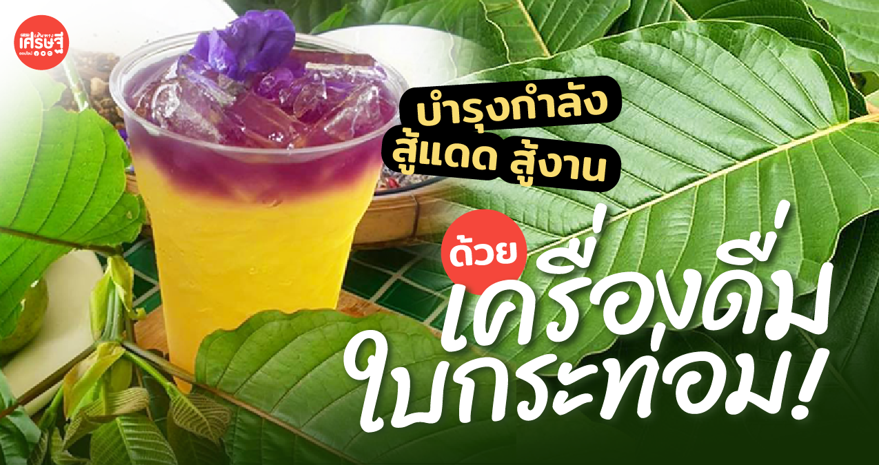 สู้แดด สู้งาน พร้อมบำรุงกำลัง แก้อ่อนเพลีย ด้วยสูตร เครื่องดื่มใบกระท่อม