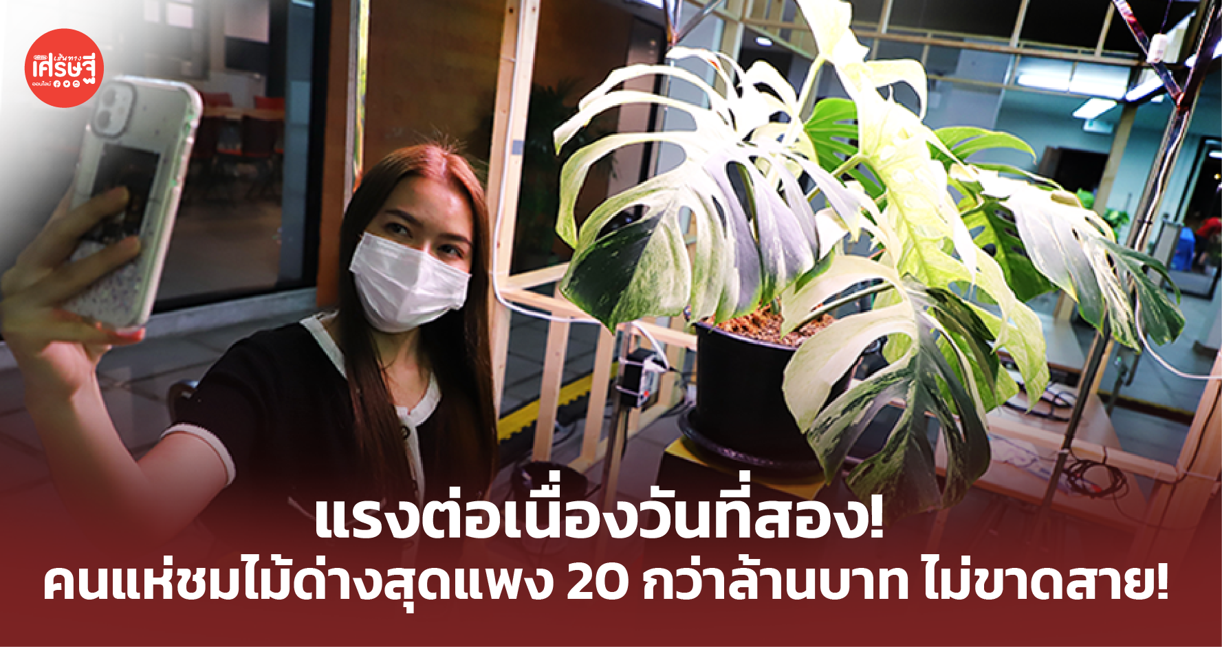 แรงต่อเนื่องวันที่สอง! งาน “เกษตรมหัศจรรย์และวันเส้นทางเศรษฐี” แห่ชมไม้ด่างสุดแพง 20 กว่าล้านบาท ไม่ขาดสาย! 